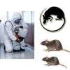 Expert Rat Removal Services-Rat Removal Nairobi thumb 3