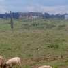 Affordable plots for sale in Ngelani thumb 0