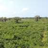 1,012 m² Residential Land at Diani Beach Road thumb 9