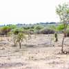 50 BY 100 PLOTS FOR SALE IN ATHI RIVER KINANIE @650K thumb 0