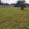 1/2 ACRE LAND ON SALE IN ELGONVIEW ELDORET thumb 4