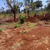 40X80ft PLOTS FOR SALE AT KENOL TOWN JUST BEHIND MAGUNAS thumb 2