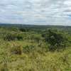 Land in Narok thumb 19