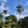 Commercial Land in Diani thumb 6