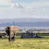 Full Day Game Drive at Amboseli National Park thumb 1