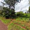 0.64 ac Residential Land in Thindigua thumb 5