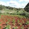 land for sale in Loresho thumb 4