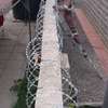 730mm 450mm Barbed wire & Razor wire supply  in Kenya thumb 2