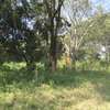 9 ac Land at Karen thumb 2