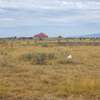 Land for sale in Rwai thumb 1