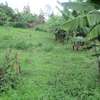 1/4-Acre Plot For Sale in Muthiga thumb 5
