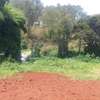 0.5 ac Residential Land at Muthithi thumb 16
