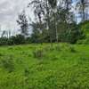 Commercial Land in Mtwapa thumb 0