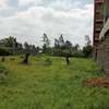 Commercial Land at Gatongora thumb 2