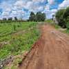 0.05 ha Residential Land in Thika Road thumb 10