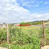 0.05 ha Residential Land at Lusigetti thumb 17