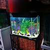 Curved aquariums for sale thumb 2