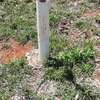 5000 m² residential land for sale in Mwea thumb 2