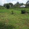 1 ac Land in Karen thumb 1