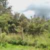 Ideally Located 1/4 Acre Plots With Forest Mt Kenya View thumb 3