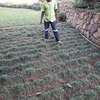 Expert Gardening Services in Nairobi thumb 6