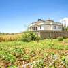 Prime Residential plot for sale in kikuyu, kamango thumb 8