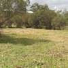 1,000 m² Residential Land in Ngong thumb 1