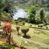 5 Bed House with En Suite at Nyari Road thumb 2