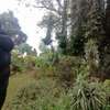 1 ac Land in Lavington thumb 7