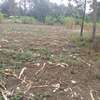 40*80ft plots for sale at Makuyu near Makuyu Teachers c thumb 4