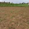 50×100 Plot In Ngarariga Gakawa, Near Nanyuki Airstrip thumb 5