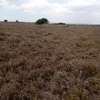 Agricultural Land for sale thumb 0