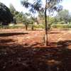 0.5-Acre Plot For Sale in Kugeria Estate thumb 5