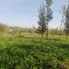 Commercial Land in Thika thumb 2
