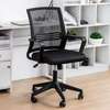 Captain Mesh Office Chair thumb 11