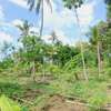 4 ac land for sale in Mtwapa thumb 1