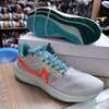 Nike zoom pegasus sneakers thumb 0