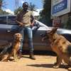 Professional Dog Trainers Westlands,Langata,Syokimau thumb 1
