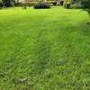 0.75 ac Land at Kunde Rd thumb 8
