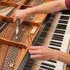 Piano Tuning, Restoration, Repairs. All work guaranteed . thumb 1