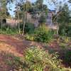 0.05 ha residential land for sale in Gikambura thumb 6