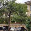 4 Bed Townhouse with En Suite at Riara Road thumb 17