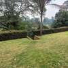 7 Bed House with En Suite at Lavington Green thumb 1