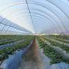 Greenhouse Services.Trusted & Affordable Professionals.Free Quote thumb 9