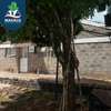 3 Bed House with Garage at Guango East Estate thumb 6