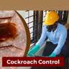 Professional Bed Bug Treatment Karen,Runda,Lenana thumb 8