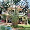 5 Bed House with Swimming Pool in Runda thumb 3