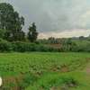 500 m² Commercial Land in Kikuyu Town thumb 34