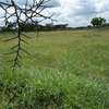 500 m² Residential Land in Ongata Rongai thumb 10