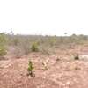 0.25 ac Residential Land at Diani Beach Road thumb 8